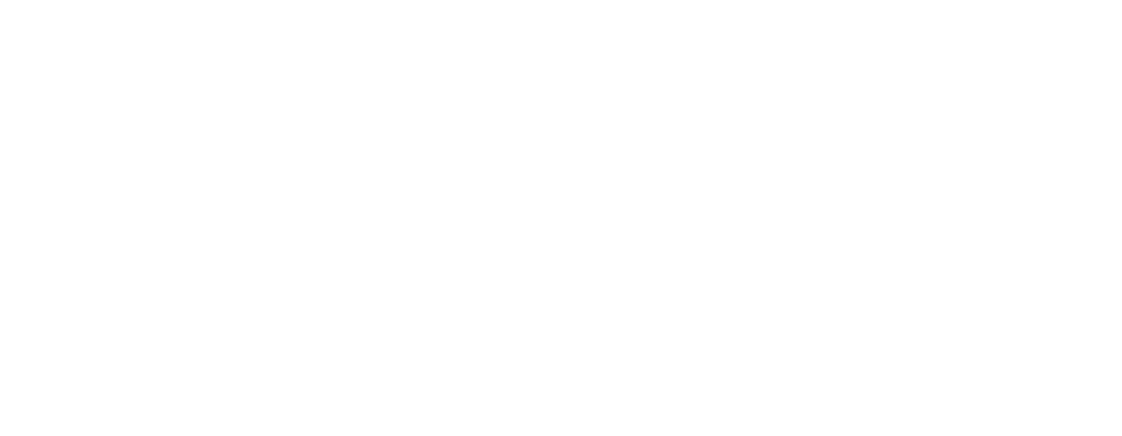Dojo System
